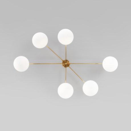 Потолочный светильник со стеклянными плафонами Eurosvet Opaline 70220/6 (a065766) 