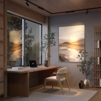 Трековый светильник Technical TR195-3-10W2.7K-M-B Points