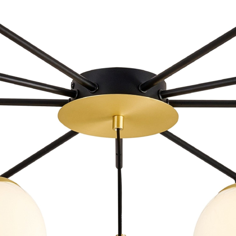 Потолочная люстра Favourite Paramount 3047-10P 