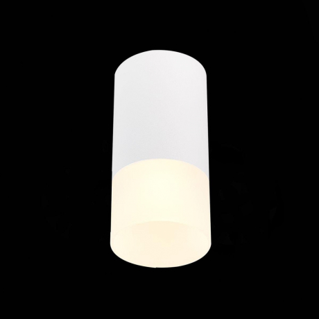 Светильник точечный с Led лампочками в комплекте ST Luce ST100.512.01+Lamps 