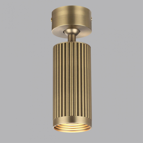 Потолочный светильник Odeon Light Manchester Hightech 7013/1C 