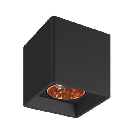 Накладной светильник Denkirs DK3080-BBR 