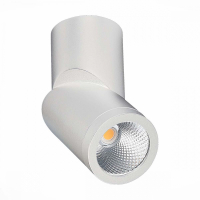 Светильник на штанге ST-Luce ST650 ST650.532.10