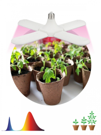 Фитолампа для растений светодиодная ЭРА FITO-36W-RB-E27-FOLD 4-х лепестковая красно-синего спектра 36 Вт Е27 Б0053289