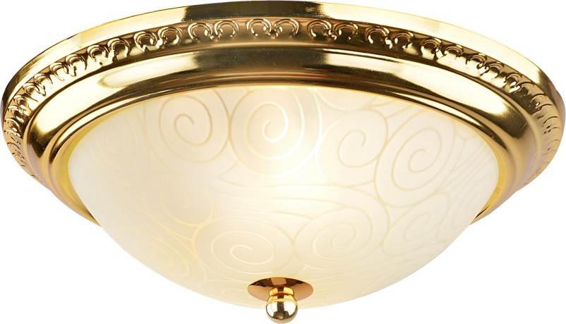 Потолочный светильник Arte Lamp 28 A3013PL-2GO