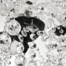 Подвесной светильник Bohemia Ivele Crystal AL1609 AL16309/5/141 BM 
