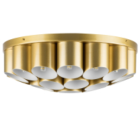 Потолочный светильник Lightstar с поддержкой Алисы, Siena 720222