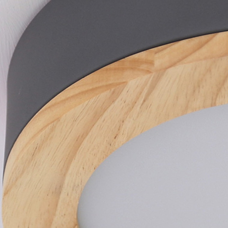 Потолочный светильник Mudda D50 Красный ImperiumLoft WUDDA01 (179770-26) 