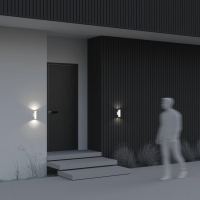 Светильник на штанге Maytoni Outdoor Bowery O574WL-02W