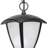 Подвесной светильник Lightstar Lampione 375070
