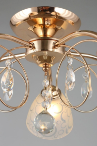 OML-29007-05 Потолочная люстра Omnilux Castellaro