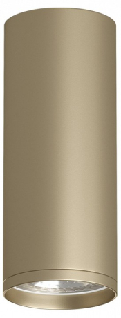 Накладной светильник Denkirs TUBE DK2051-SG 