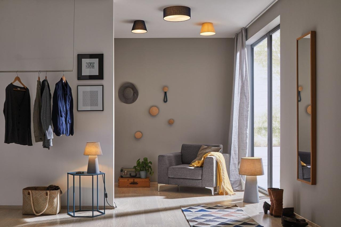 70949 Потолочный светильник Paulmann Mea 