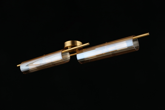 Настенно-потолочный светильник Aployt Lusia APL.315.07.04