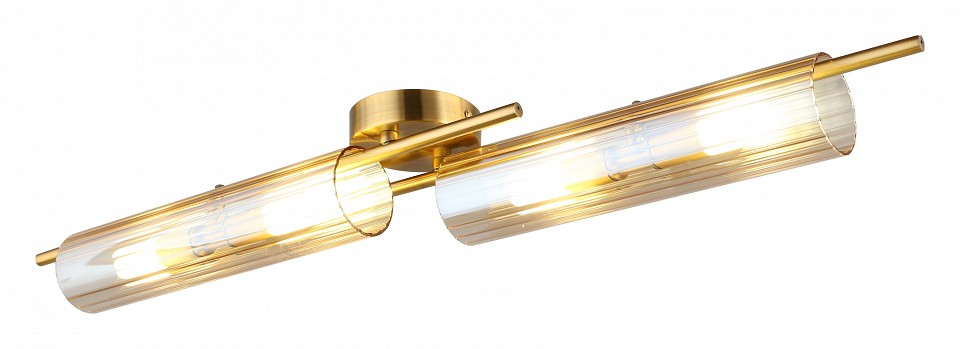 Накладной светильник Aployt Lusia APL.315.07.04 