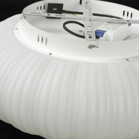 Потолочный светодиодный светильник Lussole Claudia LSP-0921 