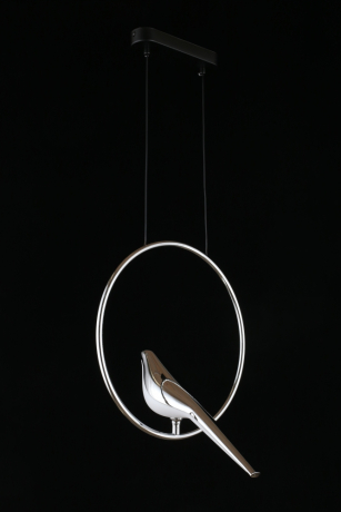 Светильник подвесной Aployt Astor APL.822.16.10 