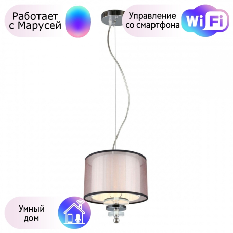 Светильник с поддержкой Маруси подвесной APLOYT APL.703.06.01-M 