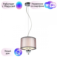 Светильник с поддержкой Маруси подвесной APLOYT APL.703.06.01-M