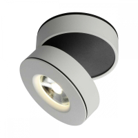 OML-101909-12 Потолочный светильник Omnilux Borgetto