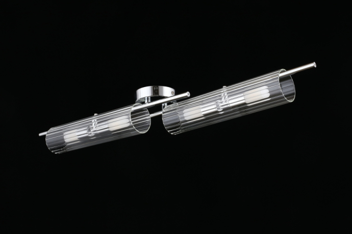 Настенно-потолочный светильник Aployt Lusia APL.315.17.04 