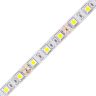 5м. Светодиодная лента дневного цвета 5050, 6500К, 14.4W, 12V, 60LED/m, IP20 Volpe ULS-Q221 5050-60LED-m-10mm-IP20-DC12V-14.4W-m-5M-6500K - (UL-00004352) 