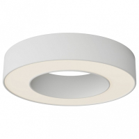 Накладной светильник Maytoni Technical Lua C093CL-24W3K-W