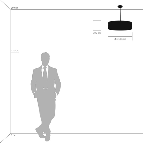 Светильник на штанге Lightstar Amerigo 746068 