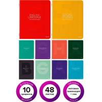 Витринный образец!  <288002> Тетради предметные, КОМПЛЕКТ 10 ПРЕДМЕТОВ, ''COLOR'', 48 листов, матовая ламинация, лак, BRAUBERG, 404029