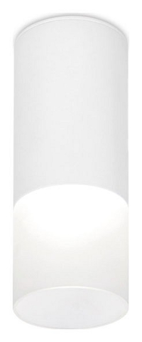 Накладной светильник Ambrella Light TN TN230