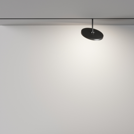 Светильник на штанге Maytoni Technical Plato TR131-2-15W4K-B 