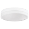 Накладной светильник Ambrella Light FA FA9431 