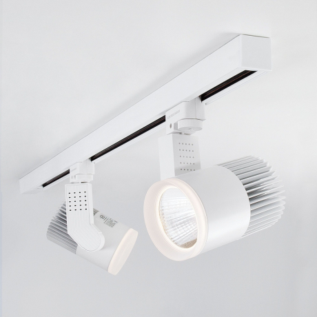 Трехфазный LED светильник 30W 4200К для трека Accord Elektrostandard Accord Белый 30W 4200K (LTB43) трехфазный (a044428)