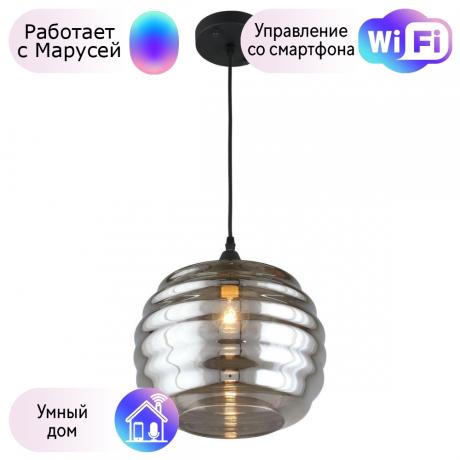 Светильник с поддержкой Маруси подвесной APLOYT APL.605.16.01-M 