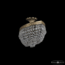 Люстра потолочная Bohemia Ivele Crystal 19273/55IV Pa 