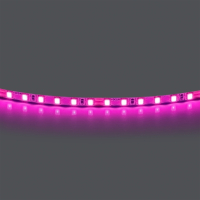Лента цветного свечения 24V, розовый Lightstar Lightstar 420512
