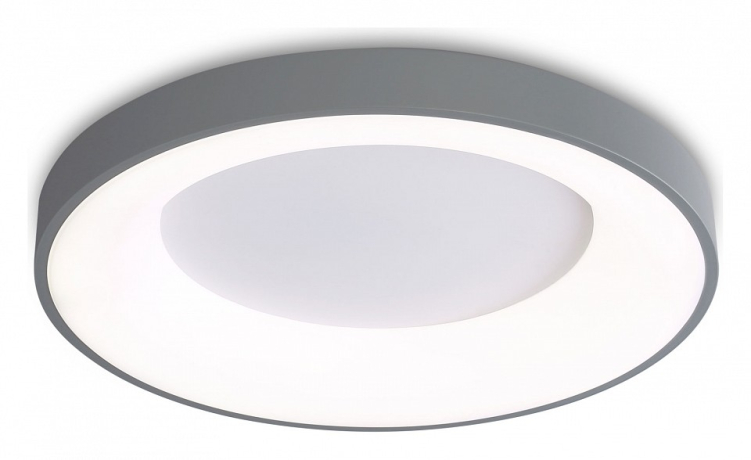 Накладной светильник Ambrella Light FZ FZ1402 