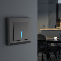 Выключатель одноклавишный  с подсветкой (черный матовый) Werkel W1110108