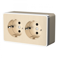 Розетка двойная с заземлением Gallant (шампань рифленый) Werkel W5072110