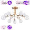 Потолочная люстра Favourite Babylon с поддержкой Алиса 2515-9U-A 