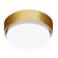 Накладной светильник Ambrella Light G G102 GD