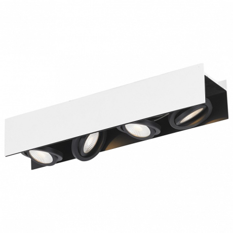 Накладной светильник Eglo Vidago 39318 