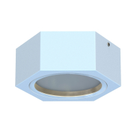 Накладной светильник Favourite Fantum 4665-1U