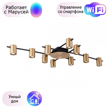 Люстра потолочная APLOYT Elwisia с Марусей APL.633.07.10-M 