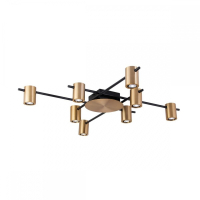 Потолочная люстра Aployt Elwisia APL.633.07.08