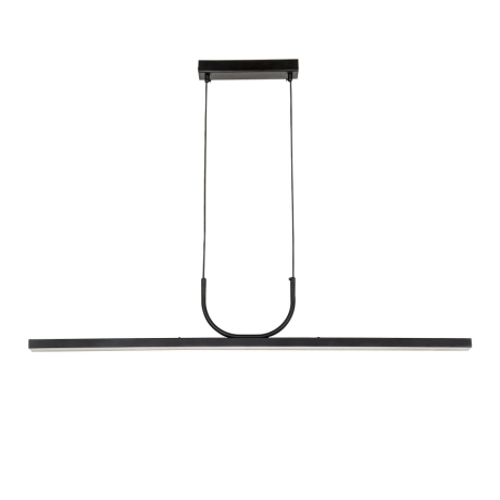 Подвесная люстра Raya Favourite 4096-2P 