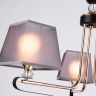 Подвесная люстра Ambrella Light TR TR4614 