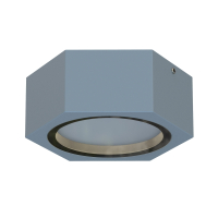 Накладной светильник Favourite Fantum 4666-1U