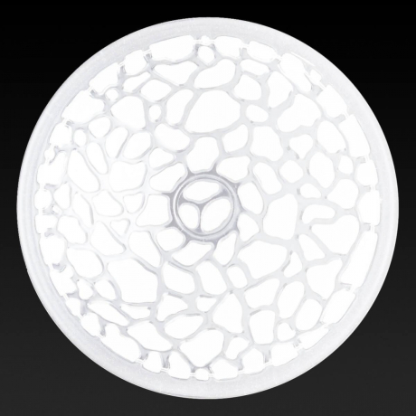 TL9111Y-02WH Настенно-потолочный светильник Toplight Rosemary