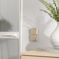 Выключатель одноклавишный с подсветкой Gallant (шампань рифленый) Werkel W5010110